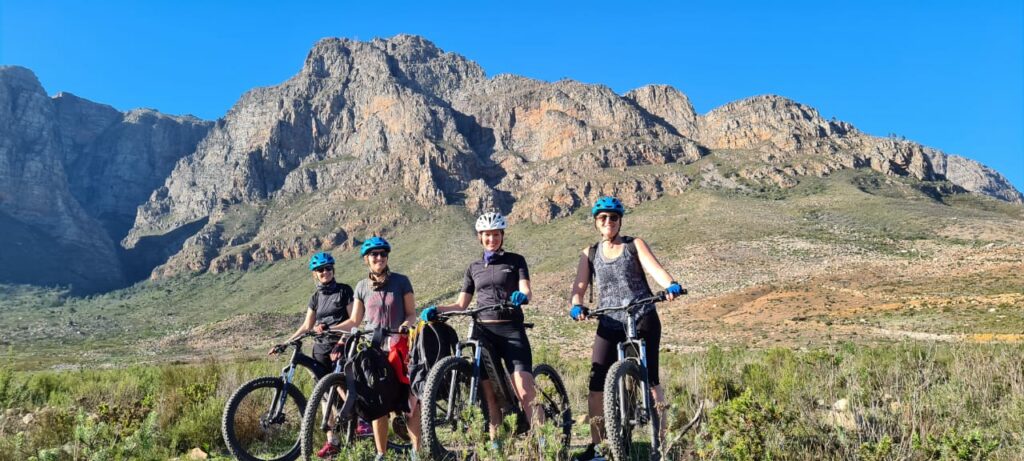 Cape Winelands Tours