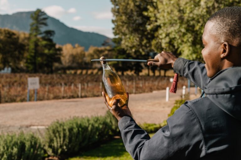 Cape Town Wine Tours | Wine Flies
