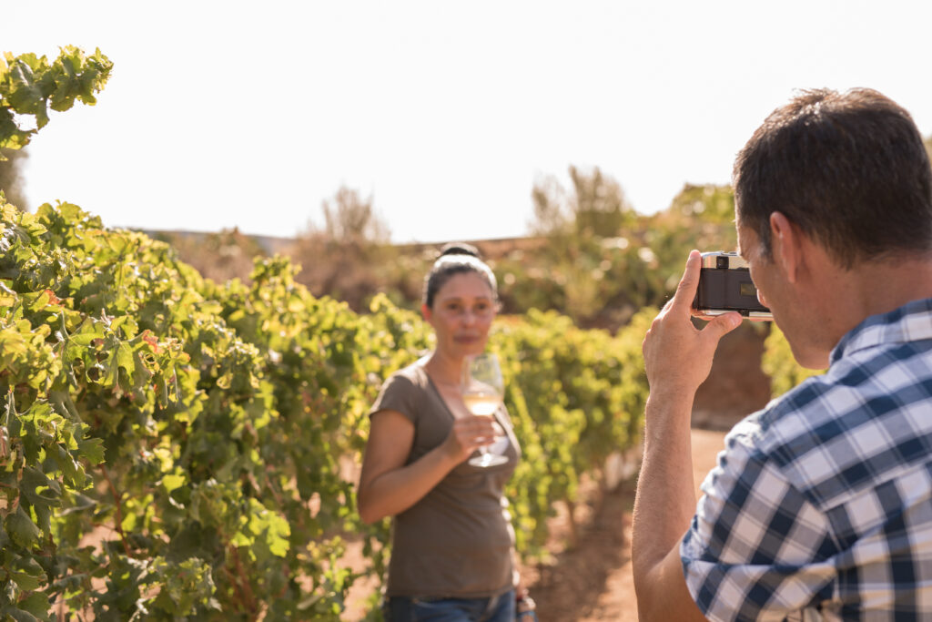 Combining Wine Tours with Cape of Good Hope Tours: Your Ultimate Cape Peninsula Adventure!