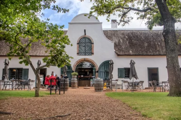 Cape Town Tours