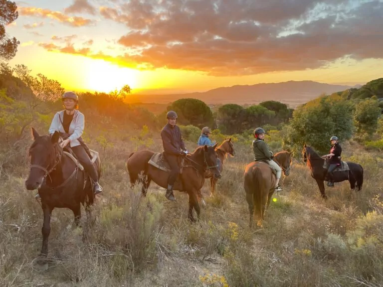 Cape Town Tours