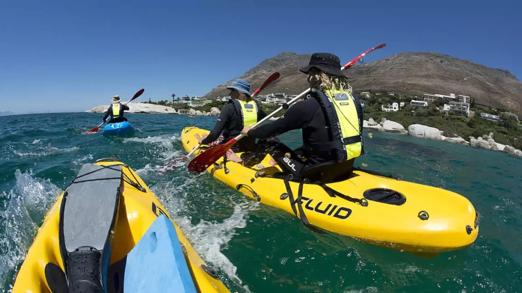 Cape Town Tours