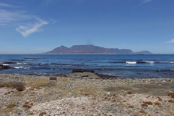 Cape Point Tours