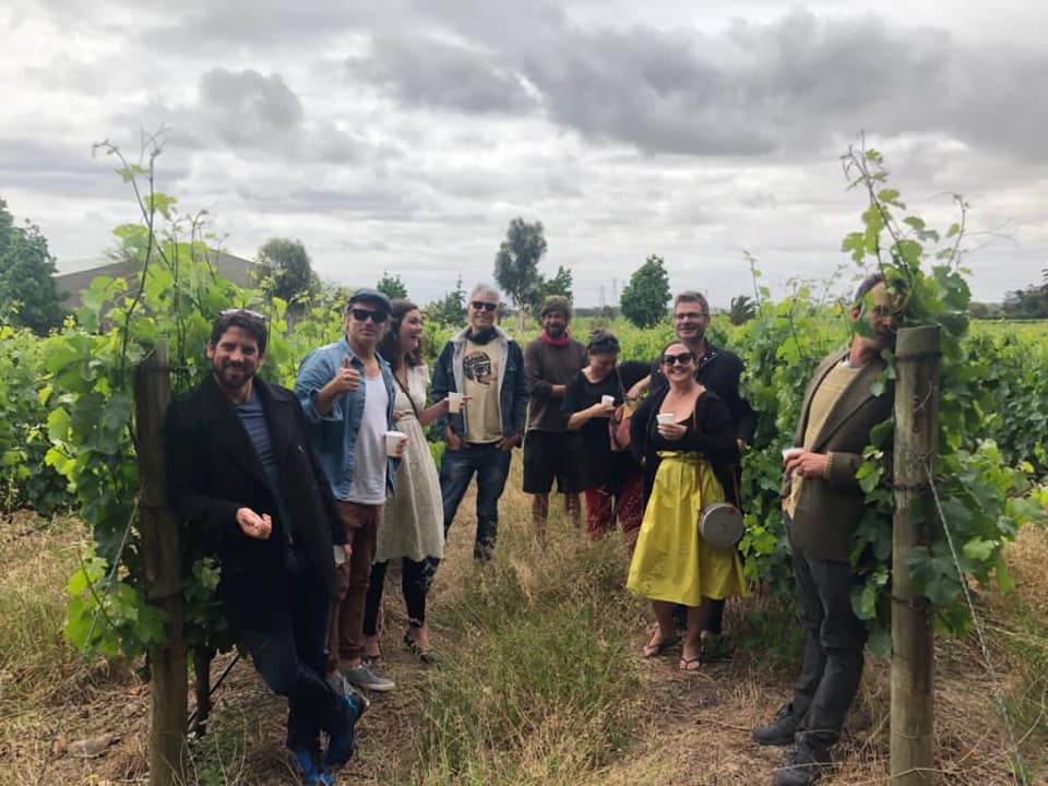 Stellenbosch Wine Tours