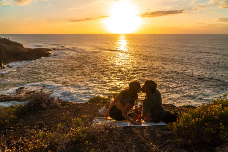 Cape Town Wine Tours | Wine Flies