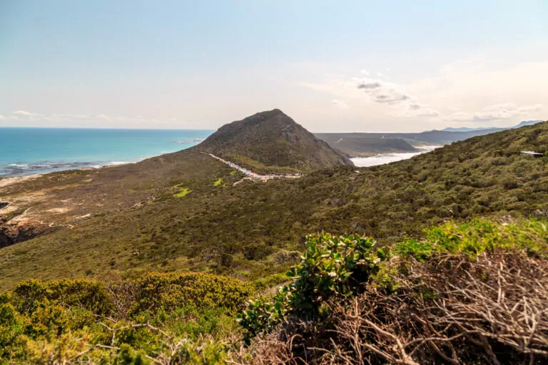 Cape Town Wine Tours | Wine Flies